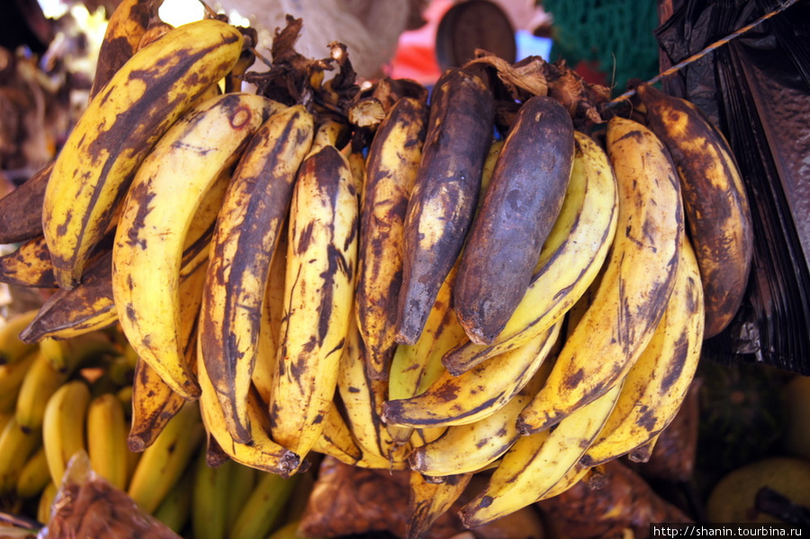 Спелые бананы на рынке Копан-Руинас, Гондурас