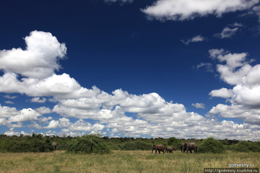 Животный мир Ботсваны Ботсвана