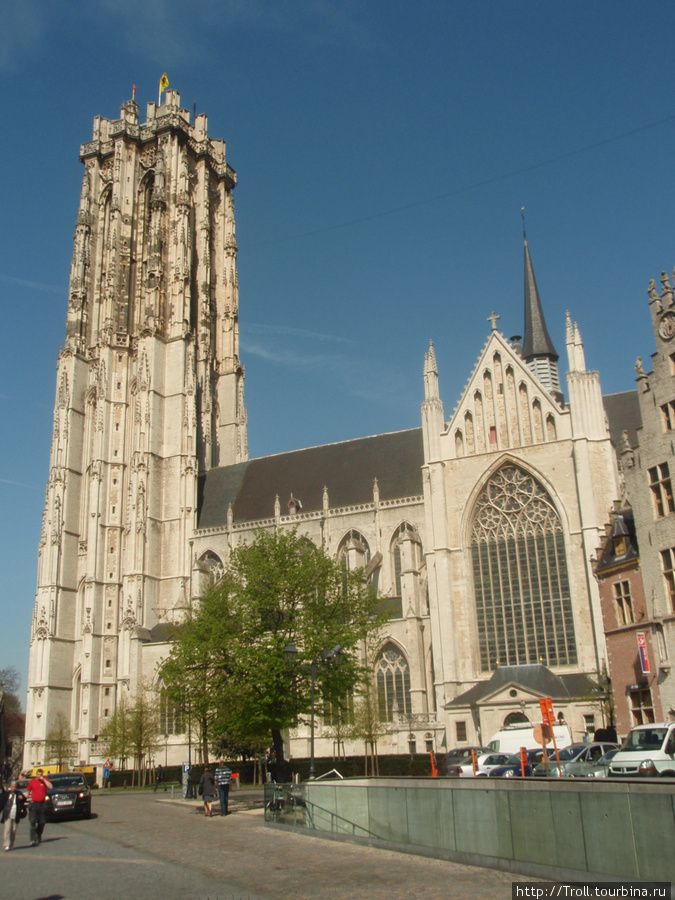 Вид на центральную часть собора и знаменитую башню Мехелен (Антверпен), Бельгия