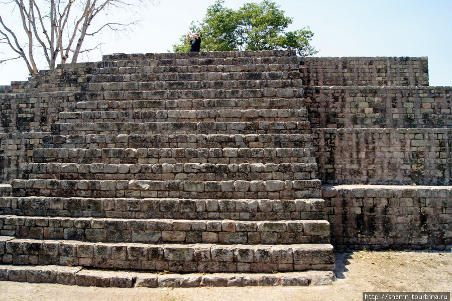 Пирамида на Главной площади Копана Копан-Руинас, Гондурас