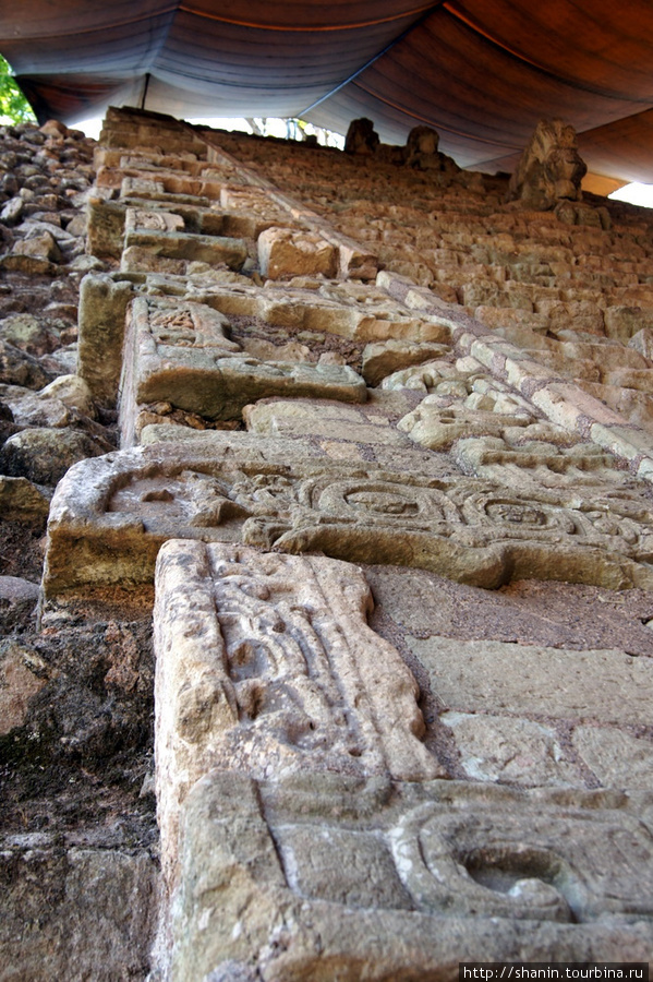 Лестница с иероглифами Копан-Руинас, Гондурас