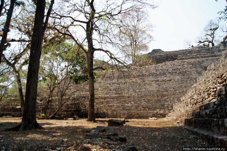 Пирамида с надписями Копан-Руинас, Гондурас