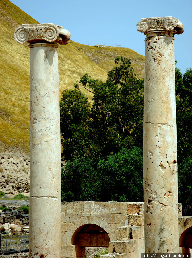 Колонны с капителями Ионического ордера. Бейт-Шеан, Израиль