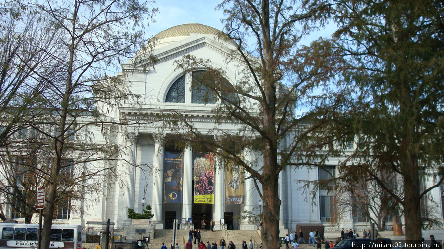 Музей Естественной истории. Вашингтон, CША