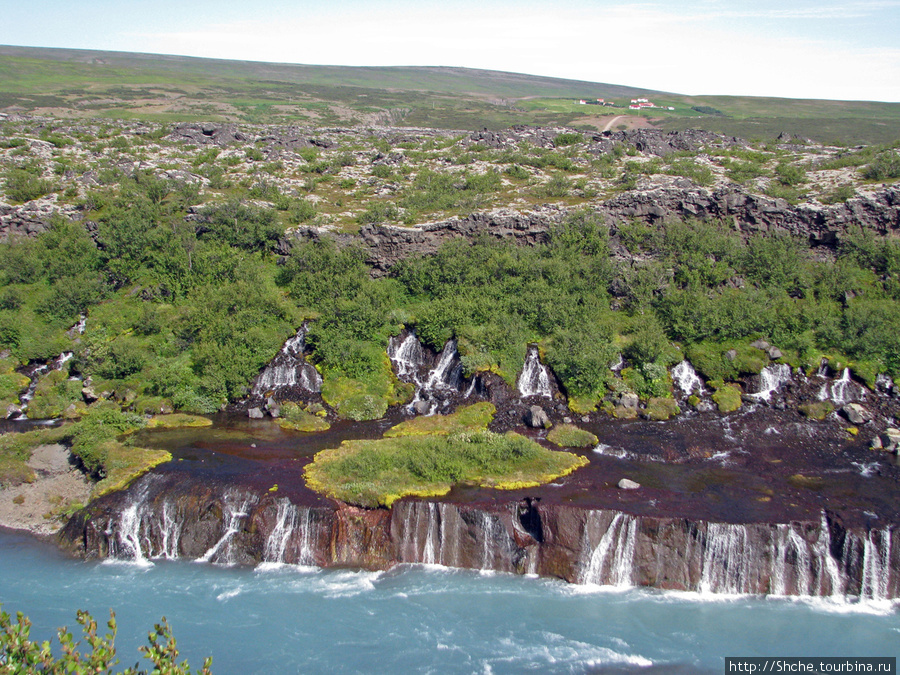 Hraunfossar- по-моему, самый живописный водопад Исландии Хрёйнфоссар, Исландия