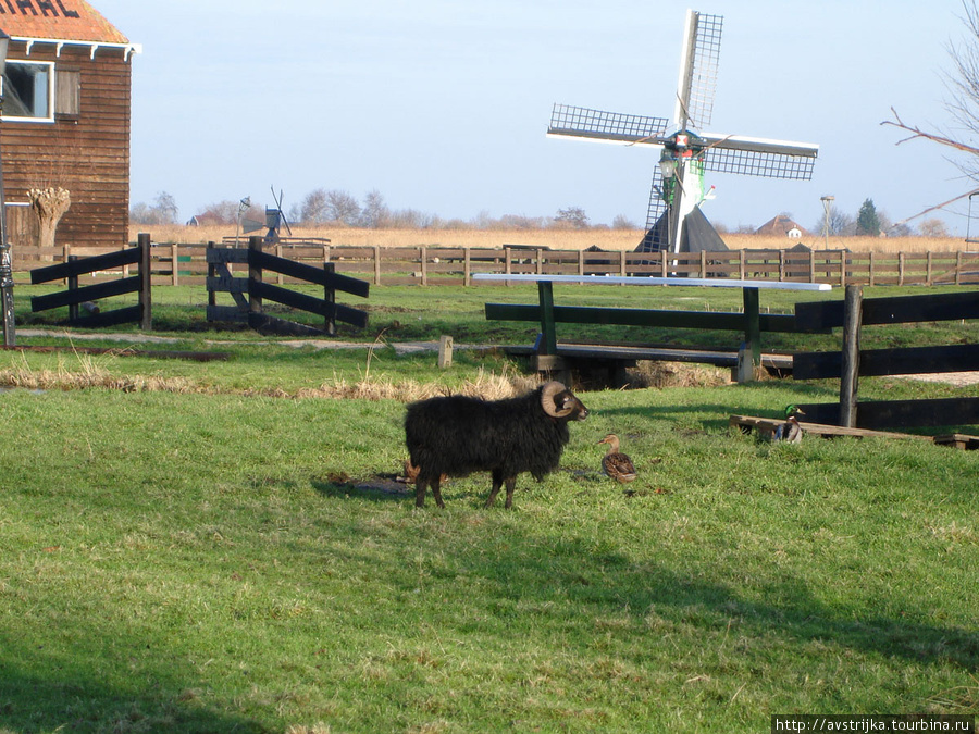 Жизнь в голландской деревне Зансе-Сханс, Нидерланды