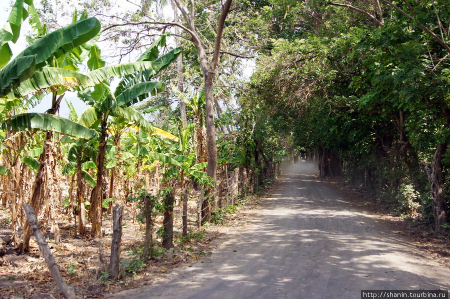 Дорога на Глаз воды Остров Ометепе, Никарагуа