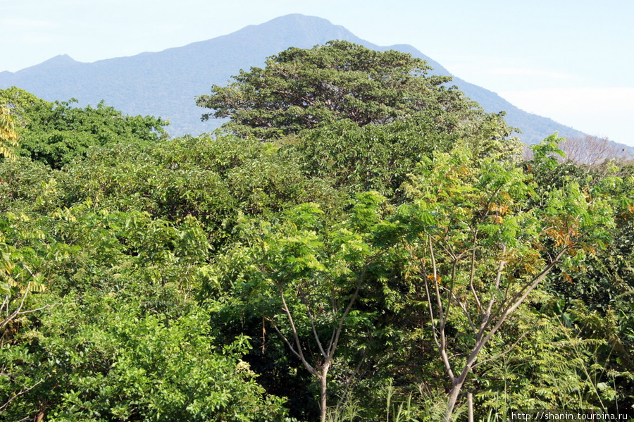 Вид со смотровой площадки у Глаза воды Остров Ометепе, Никарагуа