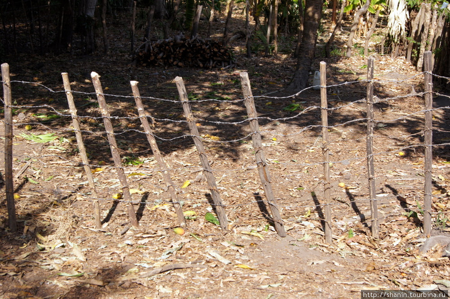 Изгородь Остров Ометепе, Никарагуа
