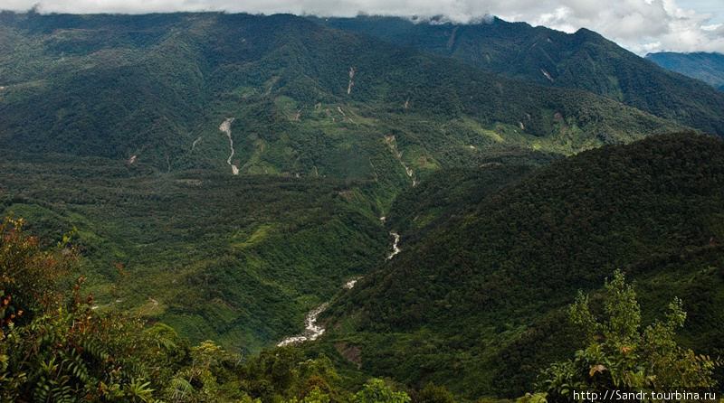 Долина. Вы поверите, что там живут люди? Папуа, Индонезия
