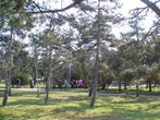 Парк имени Фрунзе