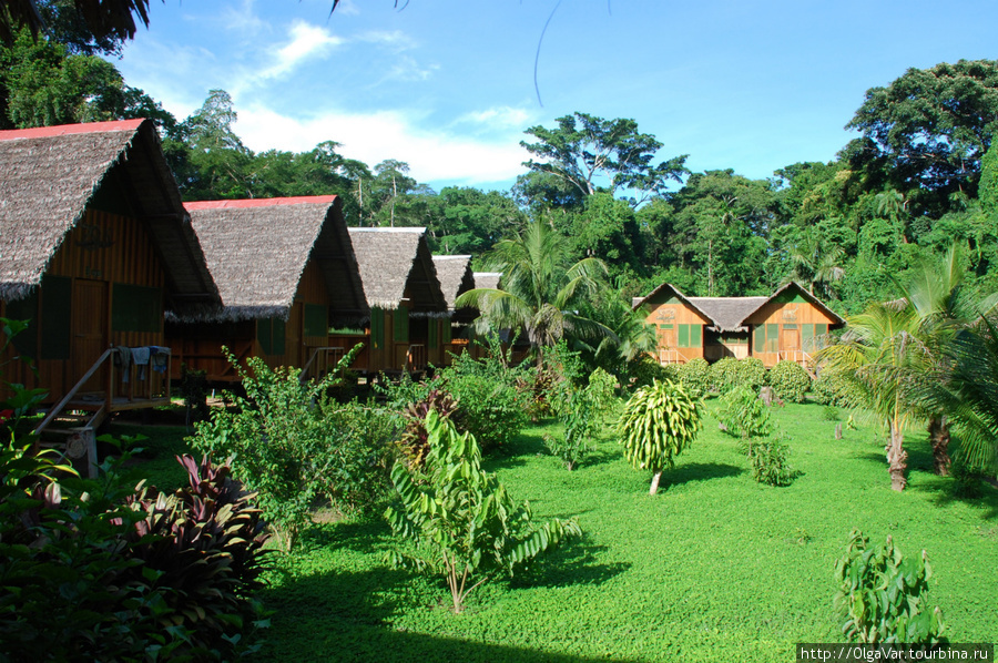 Eco Amazonia Lodge