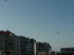 Полчища птиц кружат над городом