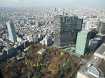 Токио. Вид с 45 этажа Мэрии