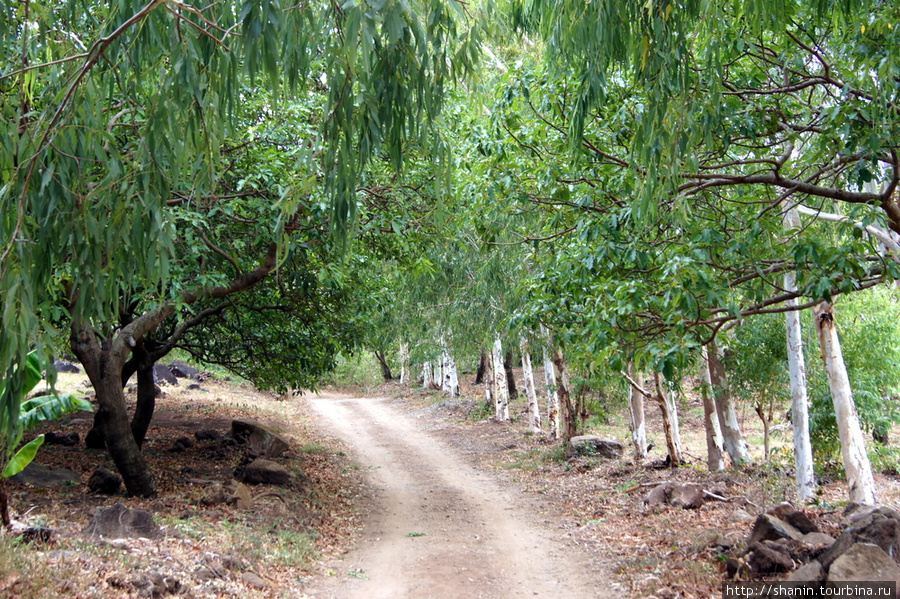 Дорога к водопаду Сан Рамон Остров Ометепе, Никарагуа