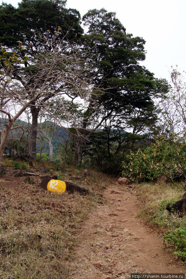 Дорога к водопаду Сан Рамон Остров Ометепе, Никарагуа