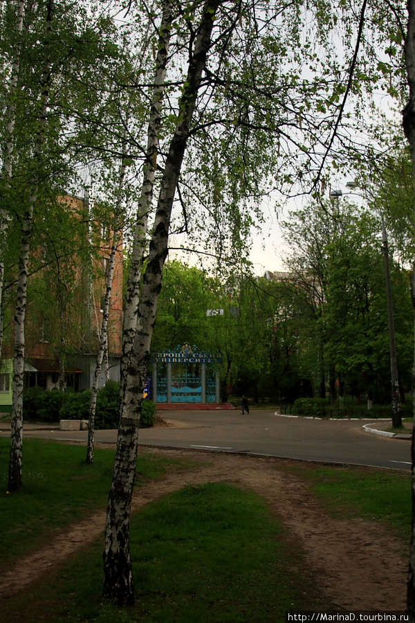 Во дворах бульвара спрятался Европейский университет Киев, Украина
