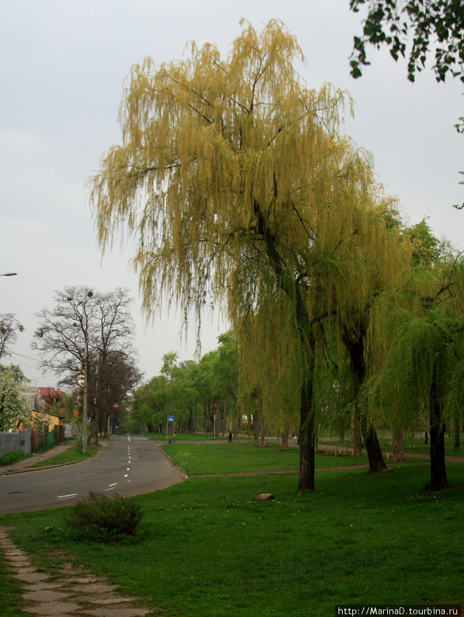 Гроза над бульваром Вернадского Киев, Украина
