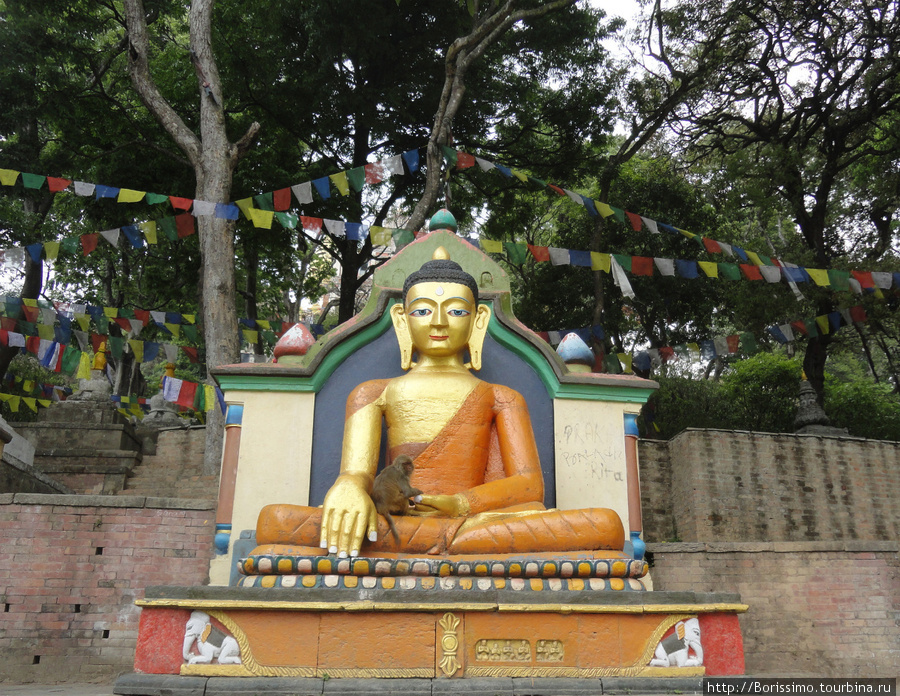 Храм Сваямбунатх: святая обезьяна на коленях Будды. Непал