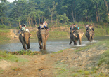 Вот такой армадой туристы движутся в джунгли (и наивно надеятся увидеть там диких животных).