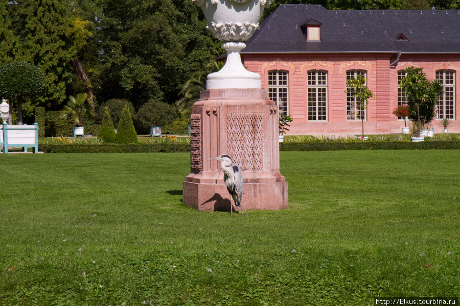 Шветцинген - еще один отличный парк в земле Баден-Вюртенберг Шветцинген, Германия