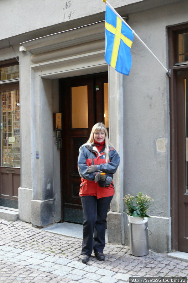 Под Шведским флагом