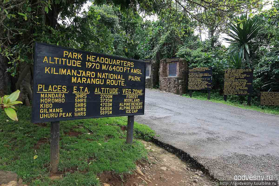 Килиманджаро. Часть первая. Прогулка Килиманджаро Национальный Парк, Танзания