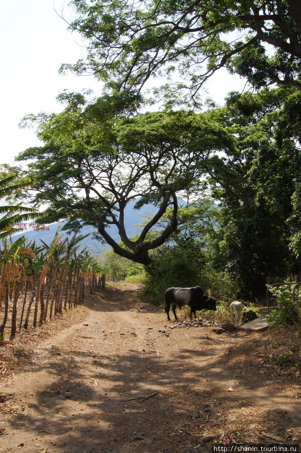 Дорога Остров Ометепе, Никарагуа