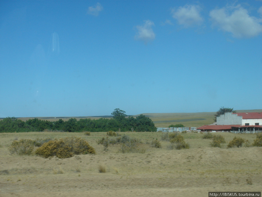 на полуострове имеется несколько ферм, можно переночевать и пообедать Пуэрто-Мадрин, Аргентина