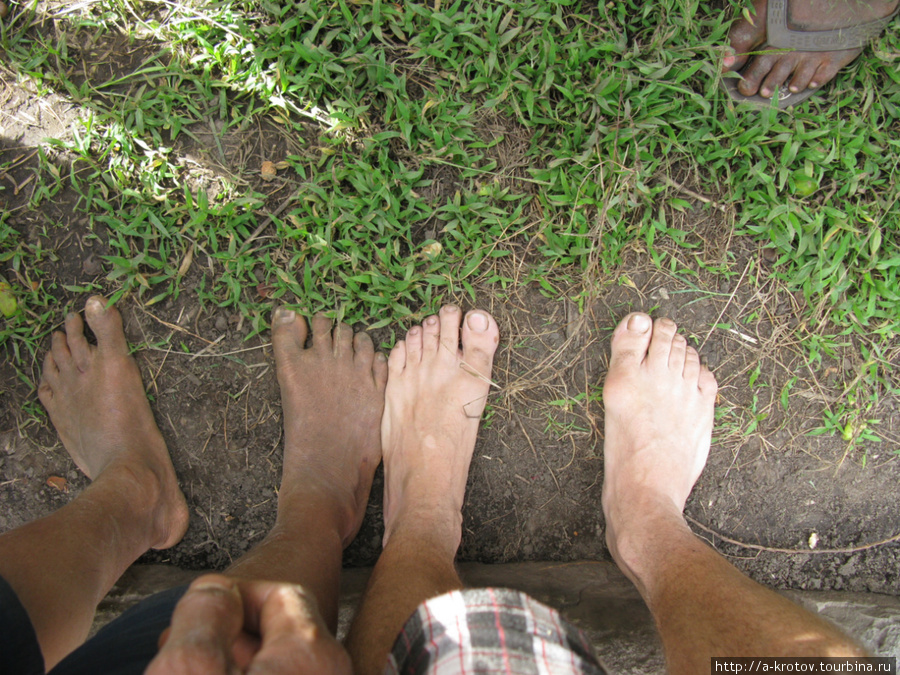 Ноги у папуасов (слева) более широкие, чем российские ноги (справа),
от привычки ходить босиком Папуа-Новая Гвинея