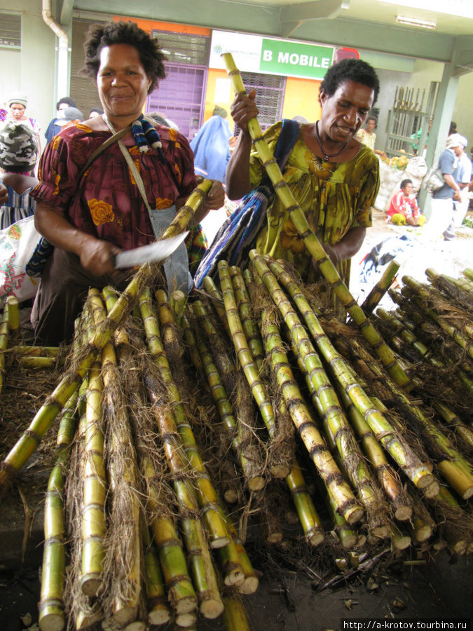 Сахарный тростник Маунт-Хаген, Папуа-Новая Гвинея