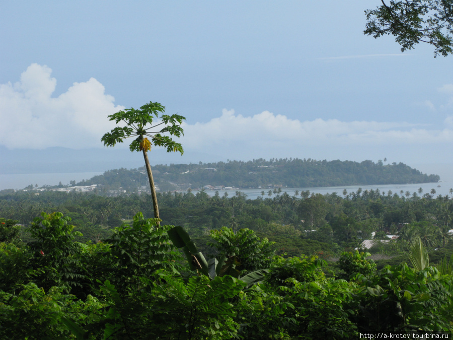Город Вевак (вид с возвышенности, с которой его обстреливали) Вевак, Папуа-Новая Гвинея