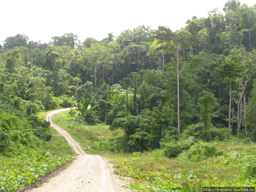 Трасса Ванимо-Айтапе Аитапе, Папуа-Новая Гвинея