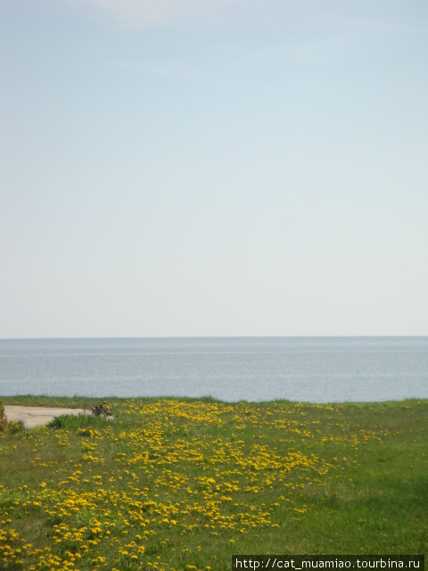 Весенняя прогулка по берегам залива и моря Куршская Коса Национальный Парк, Россия