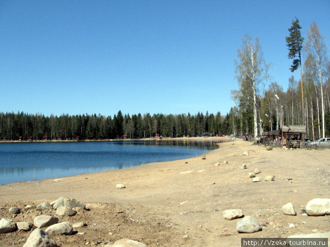 Хорошее озеро в пригороде Питера Колтуши, Россия