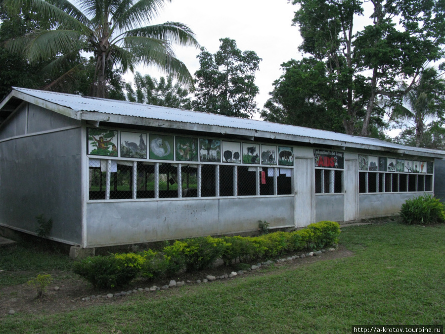 Деревенская начальная школа Папуа-Новая Гвинея
