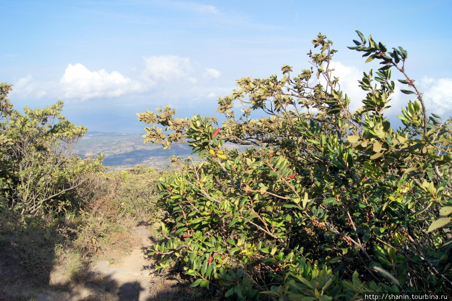 Вид с вулкана Консепсьон