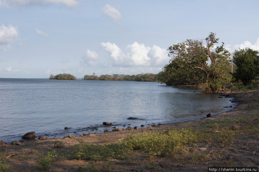 Берег озера Никарагуа Остров Ометепе, Никарагуа