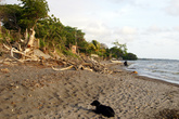 Пляж Санто-Доминго