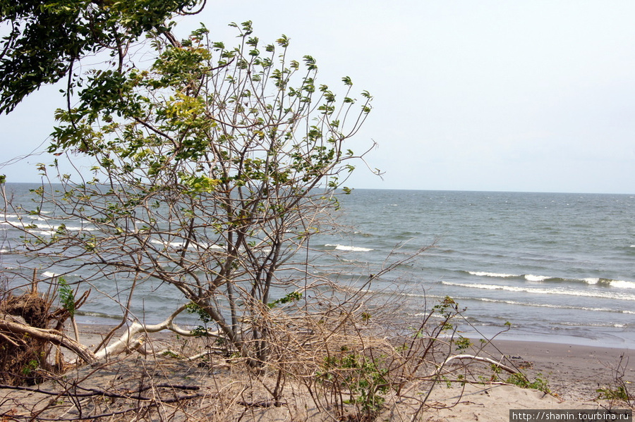 На берегу озера Никарагуа Остров Ометепе, Никарагуа