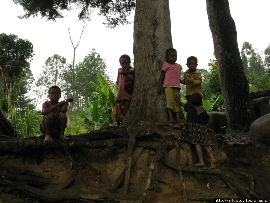 Среди папуасских гор. Деревушка Карла Марла Кундиава, Папуа-Новая Гвинея