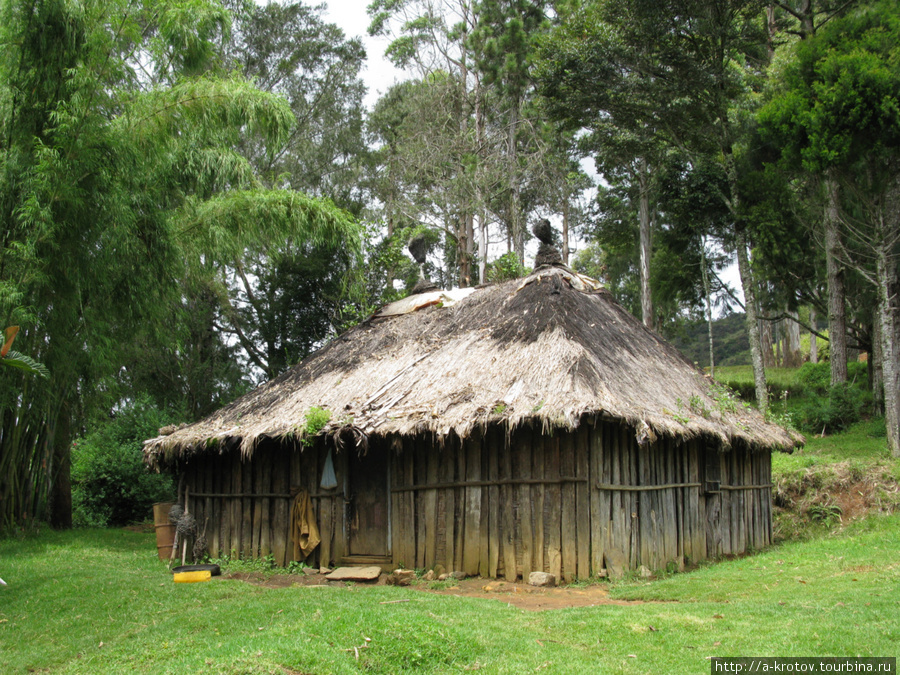 Из Карлы-Марлы — продолжение похождений в папуасских горах Провинция Симбу, Папуа-Новая Гвинея