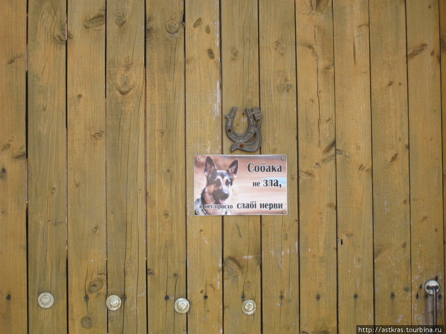 Собака не злая, у неё просто слабые нервы Каменец-Подольский, Украина