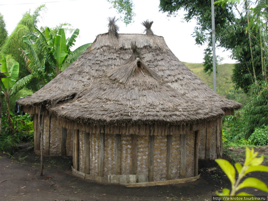 Дома в Папуа-новой-Гвинее - дачнику на заметку! Папуа-Новая Гвинея