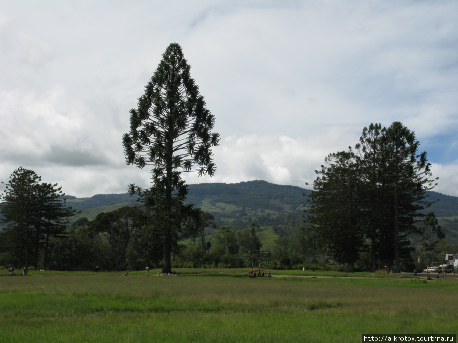 Это типа парк Маунт-Хаген, Папуа-Новая Гвинея
