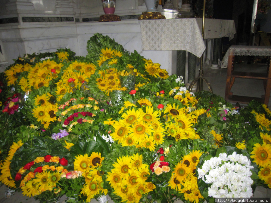 Сантерии оставляют цветы у статуи Эль-Кобре, Куба