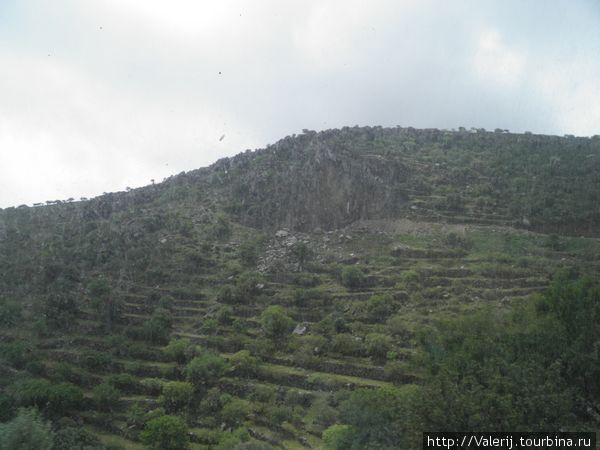 Склоны гор покрыты искусственными террасами, что позволяет в этих условиях выращивать сельхозпродукты. Кос, остров Кос, Греция