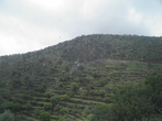 Склоны гор покрыты искусственными террасами, что позволяет в этих условиях выращивать сельхозпродукты.