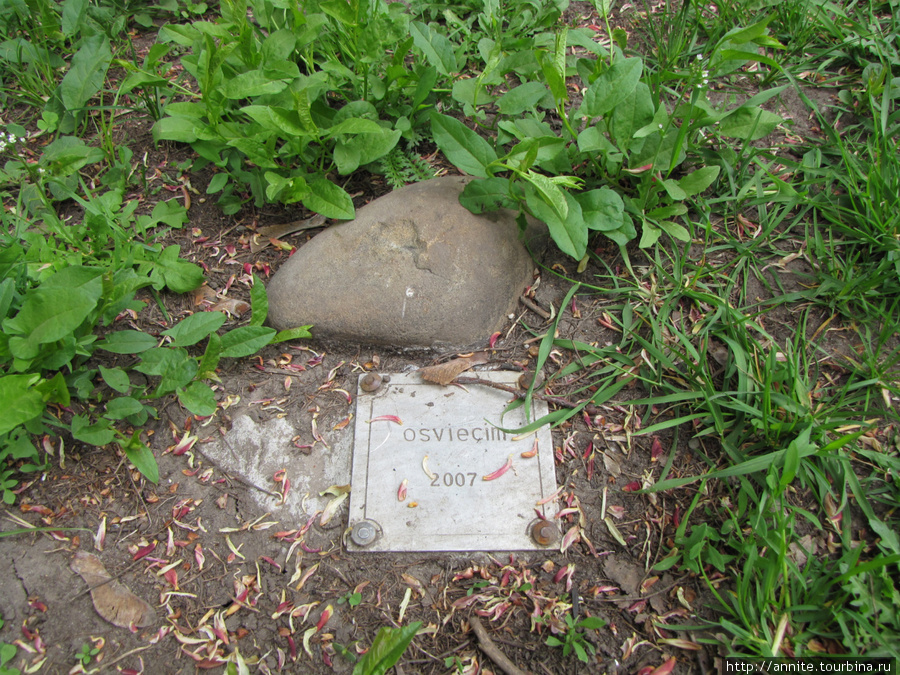 Камень из лагеря Освенцим 2007 г. Рязань, Россия