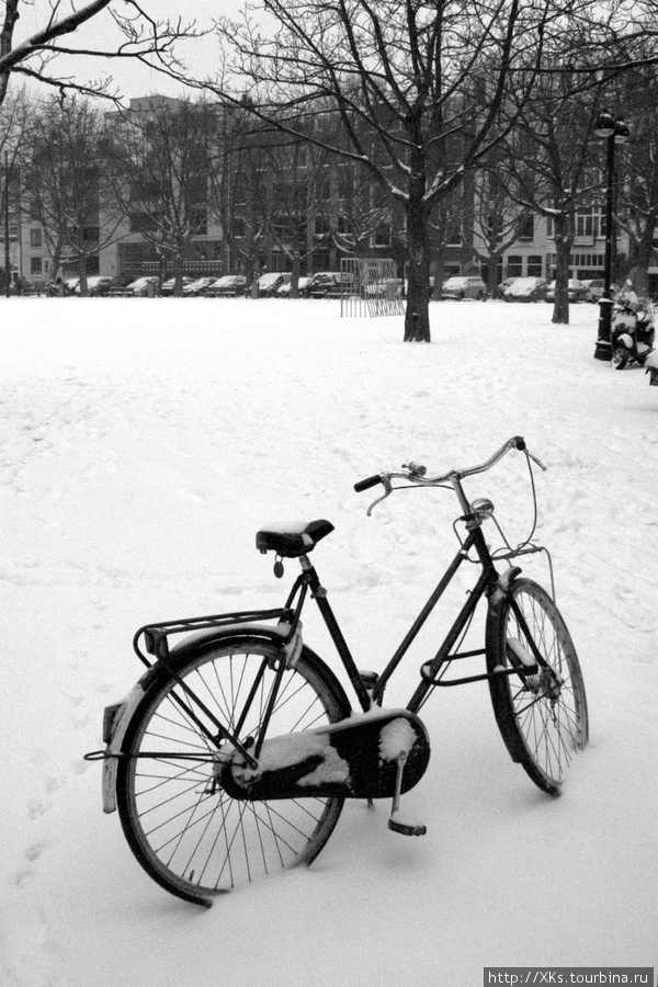на велосипеде не проехать Амстердам, Нидерланды